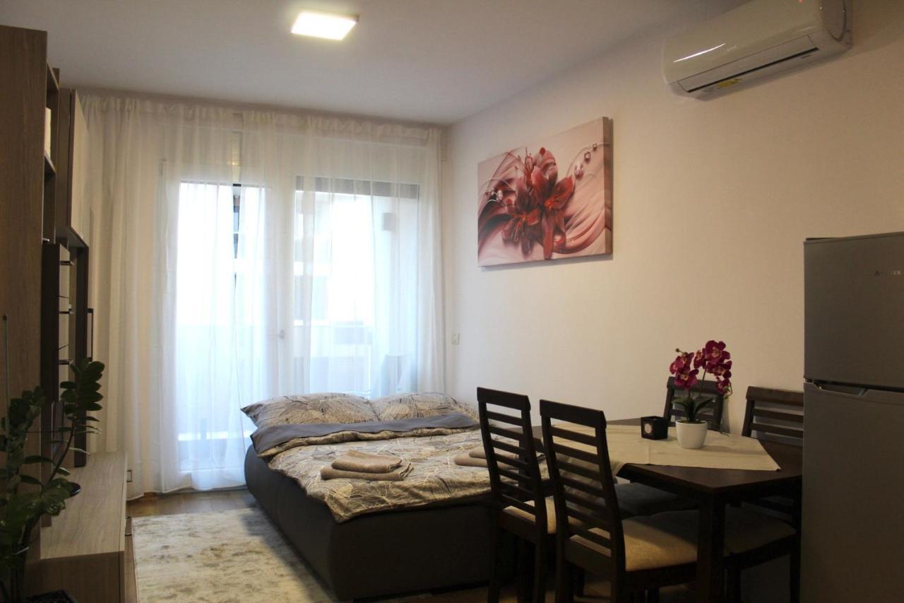 Apartman Sarah Διαμέρισμα Oradea Εξωτερικό φωτογραφία